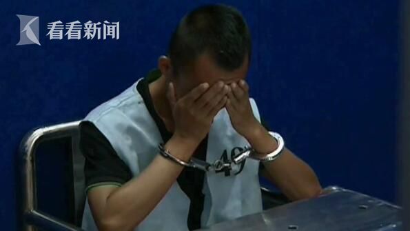 成人视频在线观看
