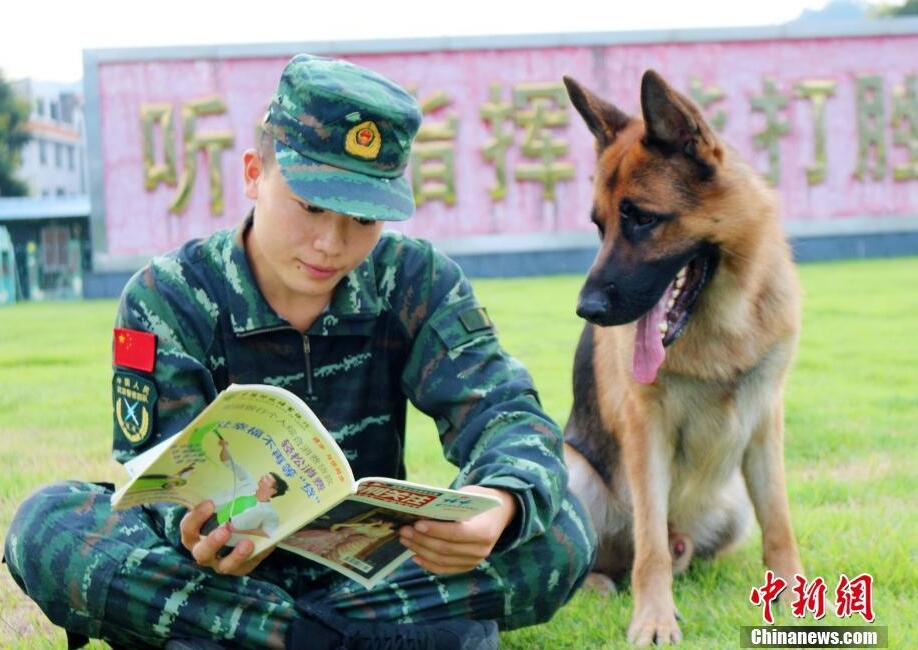 欧美肥婆操肥屄
