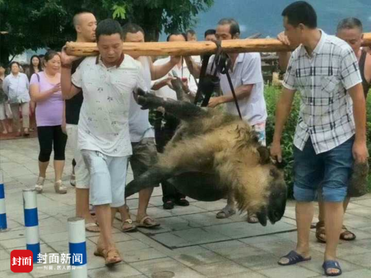 草莓牛奶