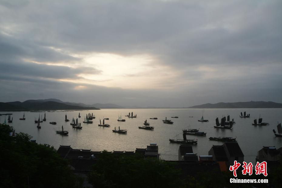罔腰尬鳳梨