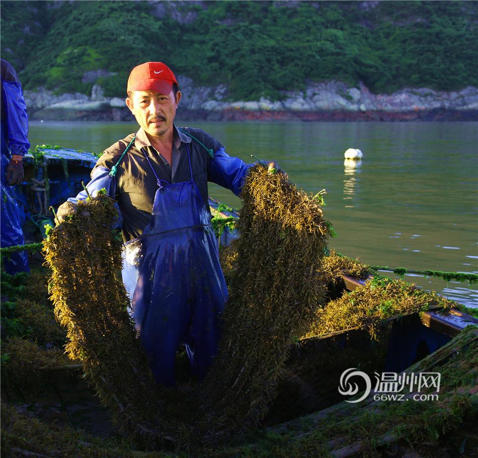 美女脱 给我捏 直播