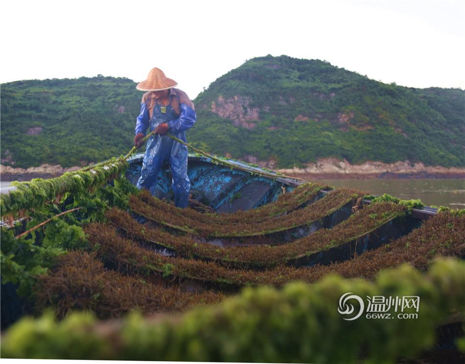 张柏芝自慰全部无打码
