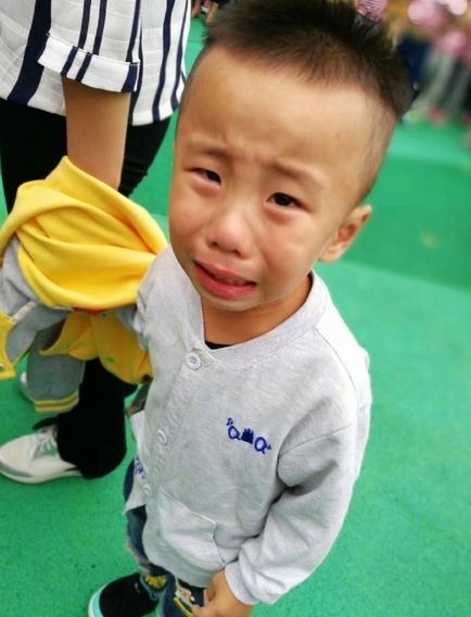 樱桃视频 进入窗口