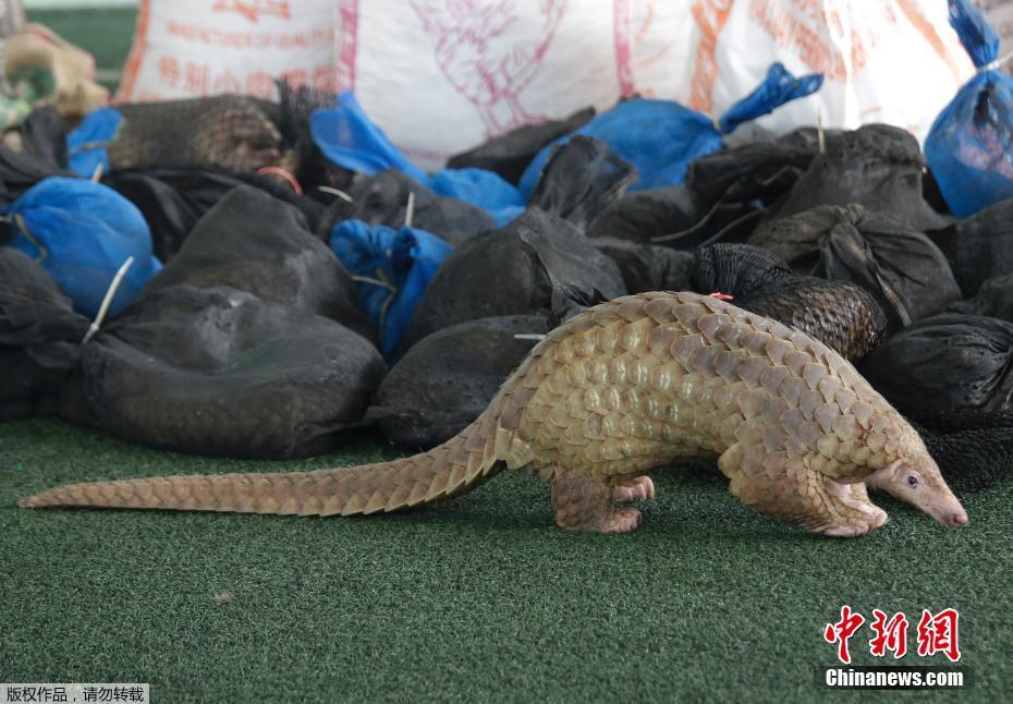 两领导在车上吃我的奶