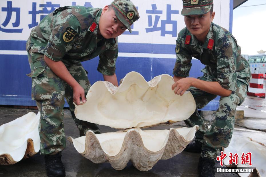 直播洗澡
