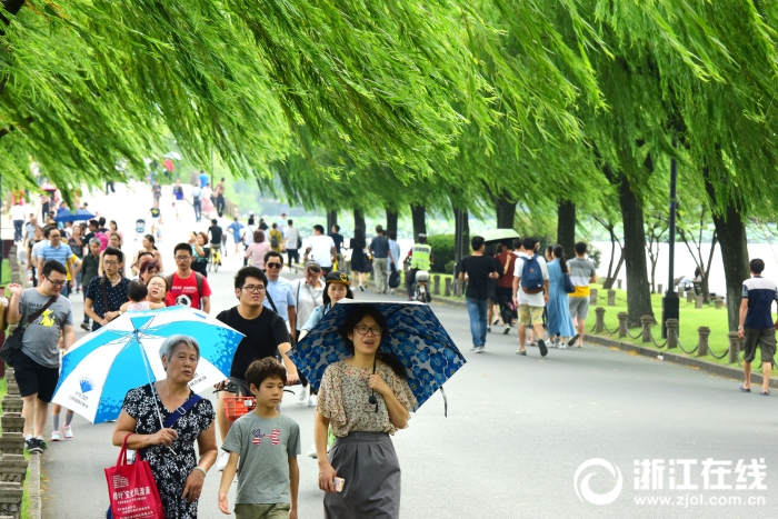 成人 视频 高清