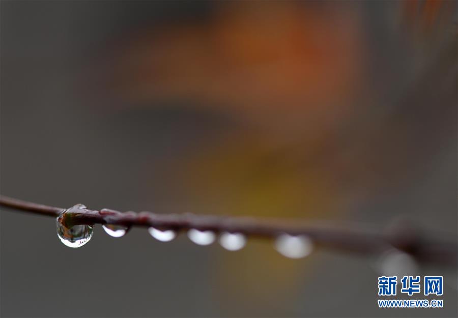 又又嫩嫩沟厕私拍