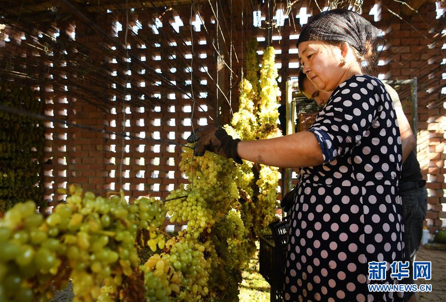 大幂幂被弄得奶头都凸出来了