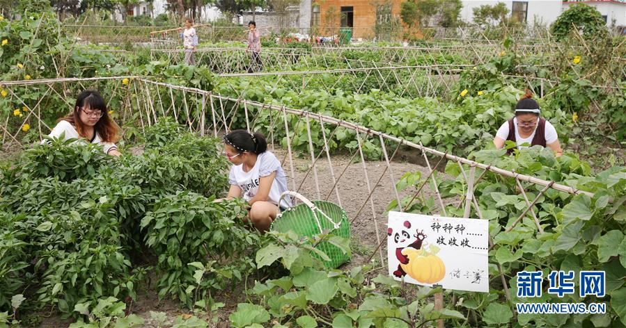 搞黄视频 干净免费 无码
