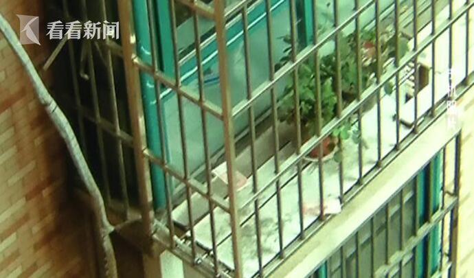 国产嫩草影院 精灵九色