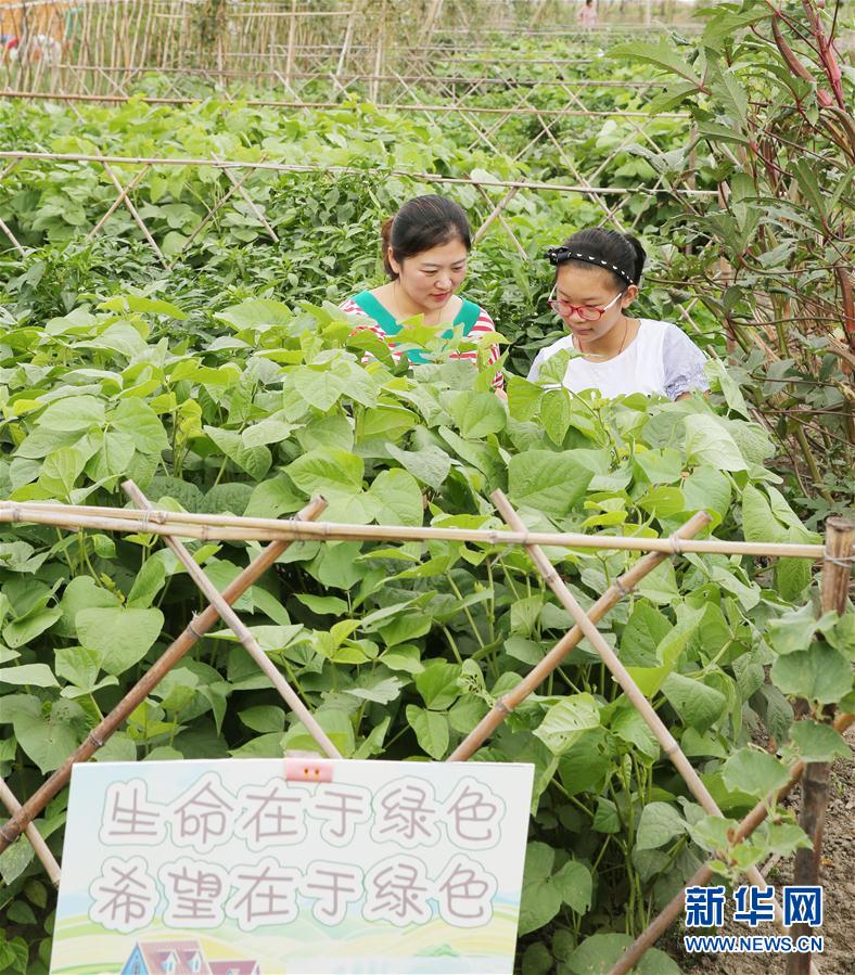 天天干狠狠干