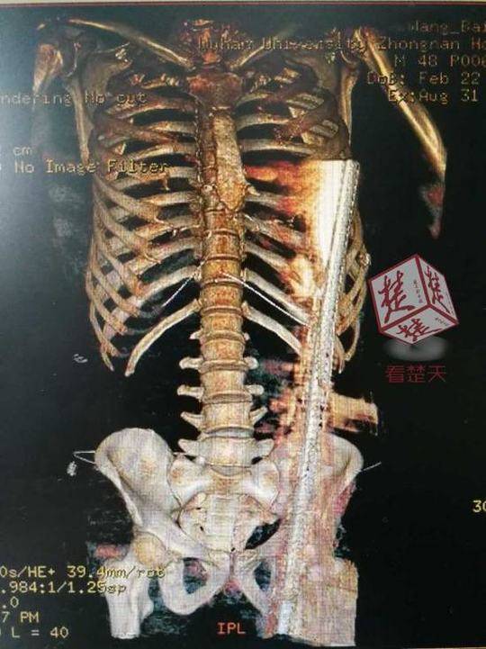 明星 做愛 視頻