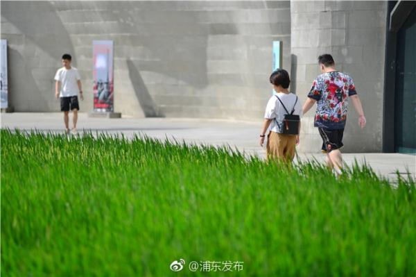 黄色三级录像片