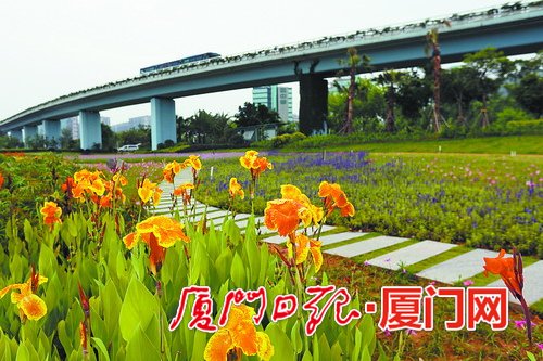 黄色视频下裁