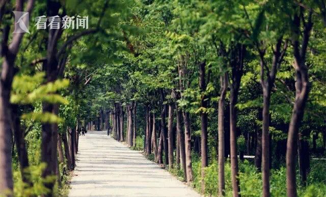 黄色 Av 网址