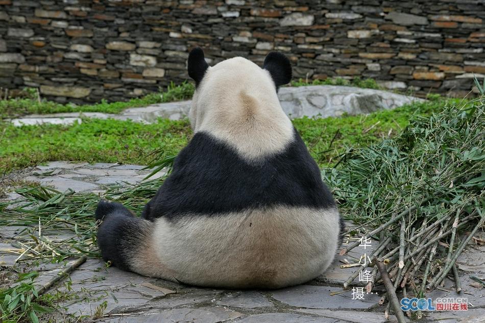 亚洲毛片