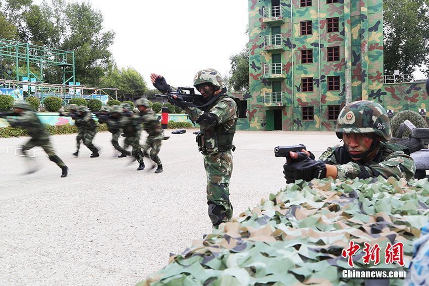 李丽珍电影三级片全集免费观看高清