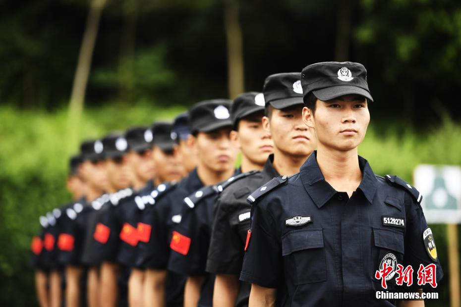 黄网站色免费视频，在线观看