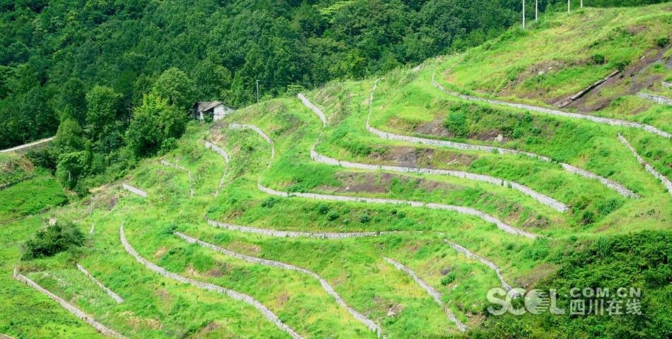 农村人口搬迁采空区_湖北荆门塌陷区为采空区 地表人员已全部搬迁(3)