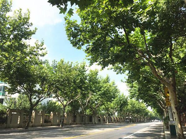 学生20岁一级毛片