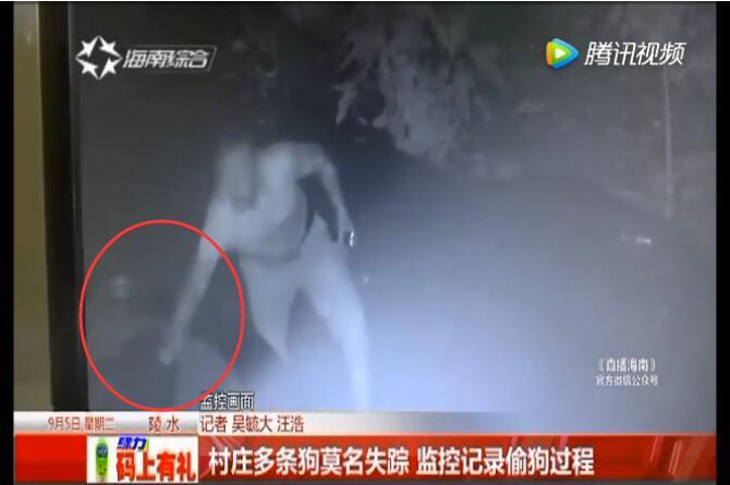 台灣車震