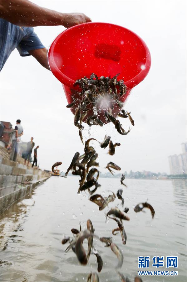 亚洲色图综合