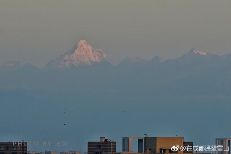 张柏芝54张无删码照片百度云