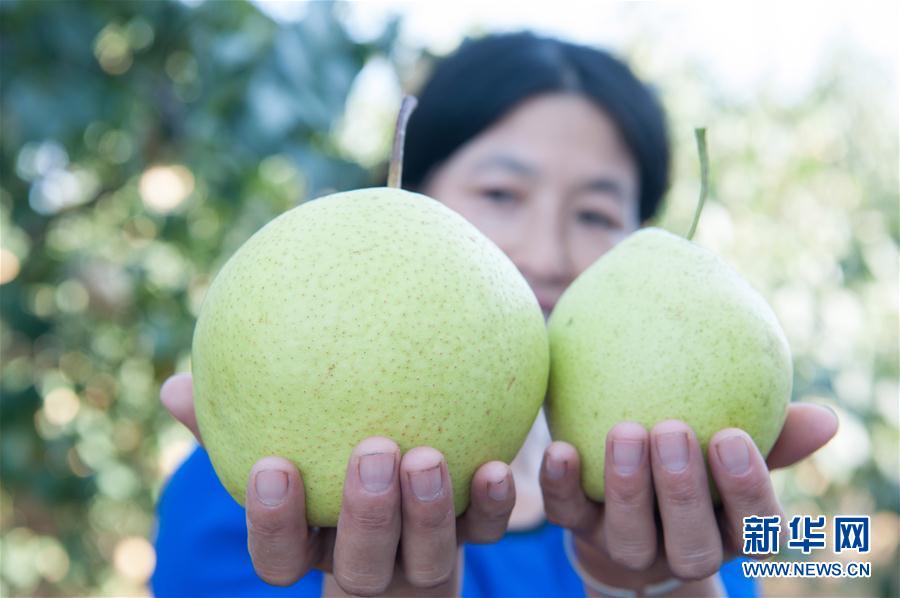橘梨紗無修正
