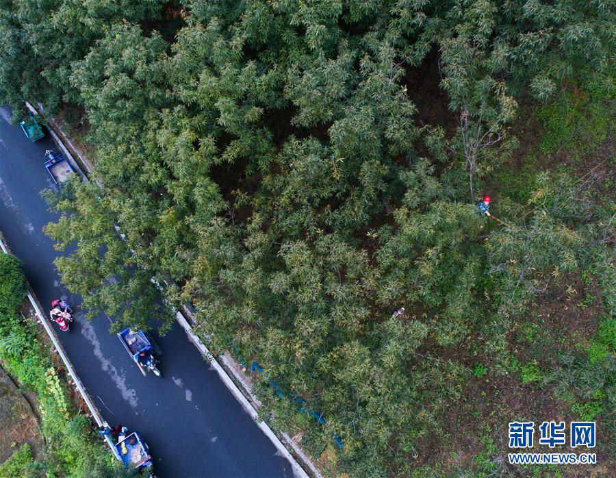西施被焯出白水了怎么办