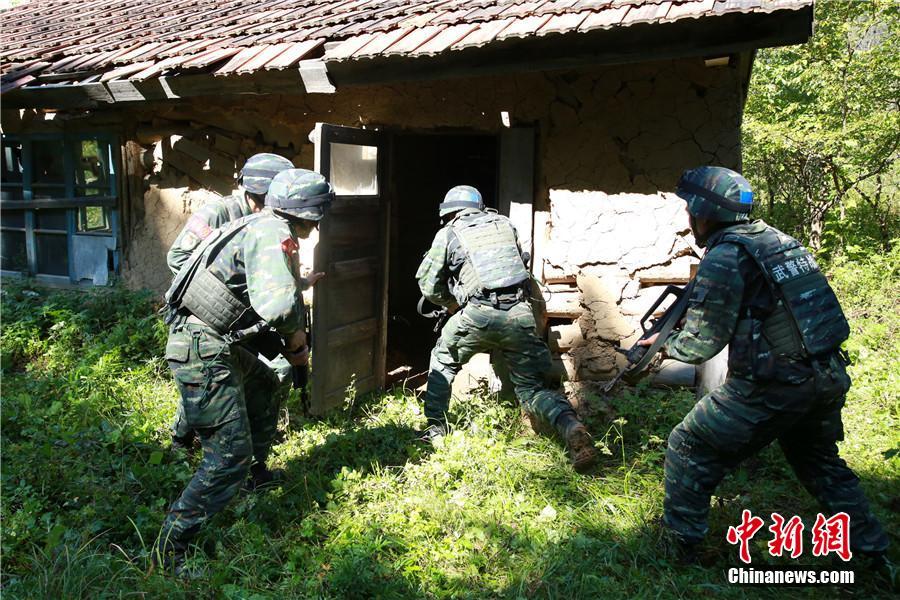 还珠野史嗯嗯H