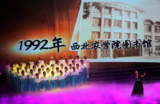 把女人 得嗷嗷嗷嗷嗷叫一男两女