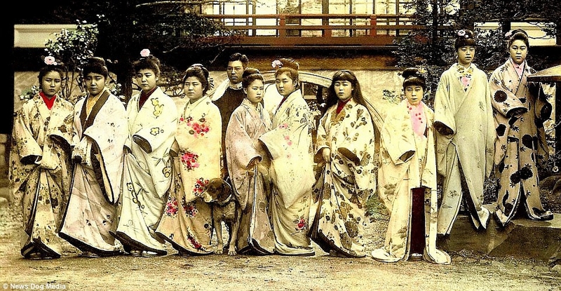 美人鱼直播