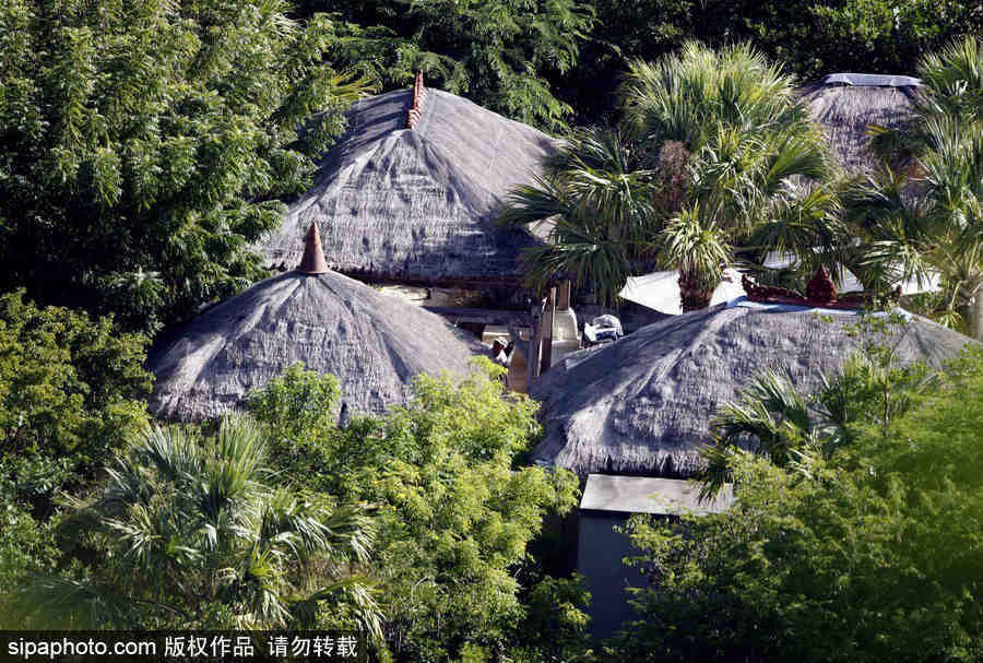 各种美女黄色视频图片
