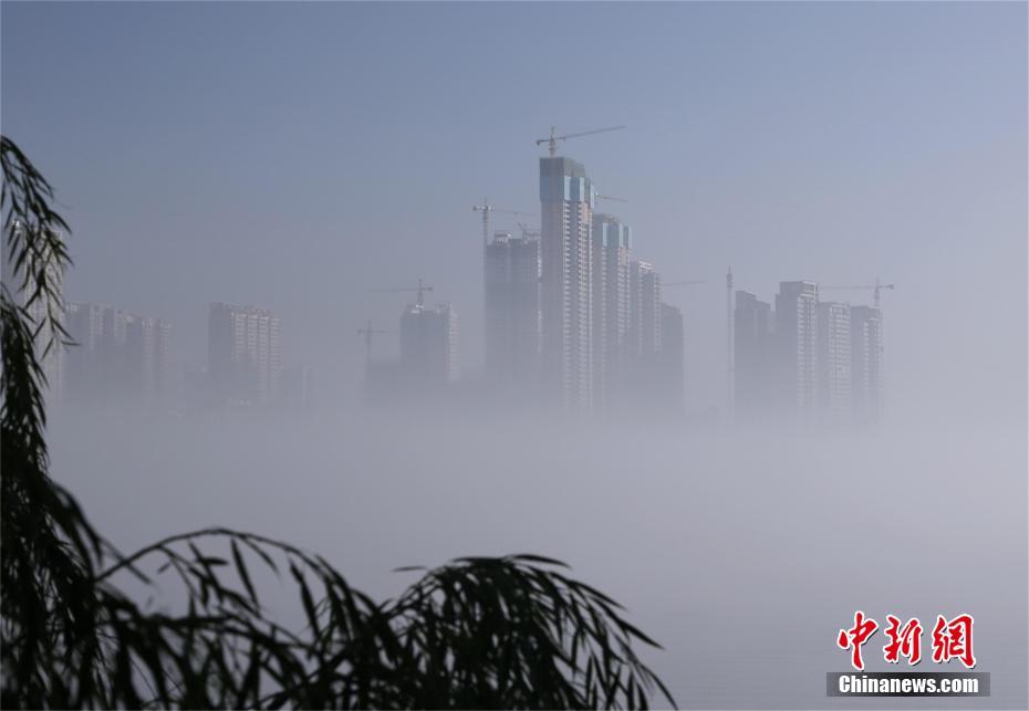国产 在线观看免费视频