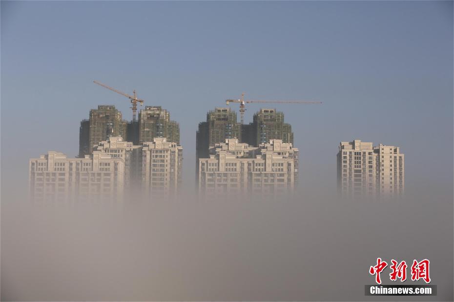 中国性老太Hd大全一中国性老