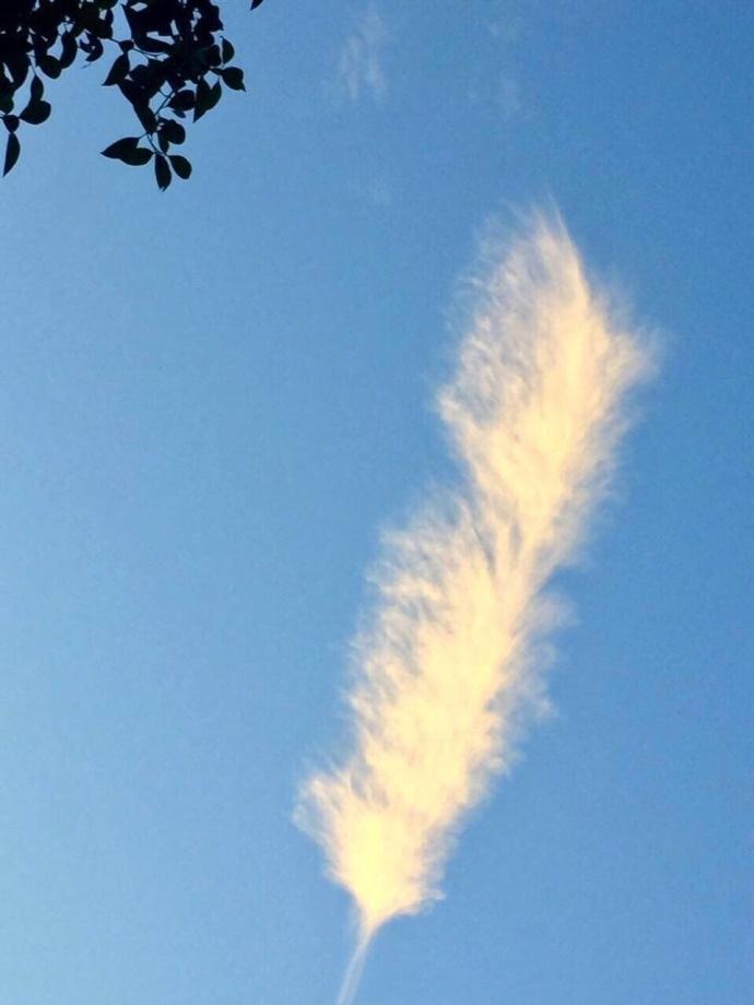 精品黄色网站在线看。