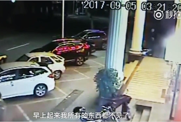 女人和狗狗操逼