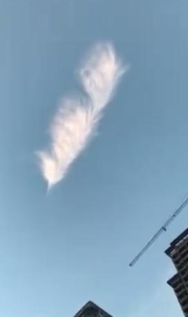 成人无码欧美一级A片狼牙直播