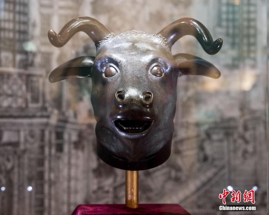 张津瑜无码无删减片段