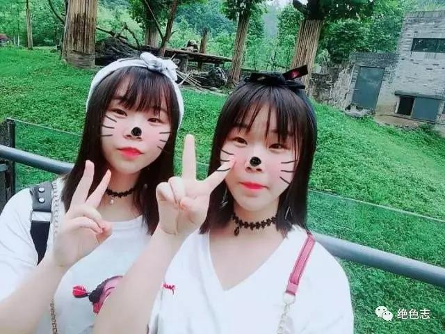 小鮮肉