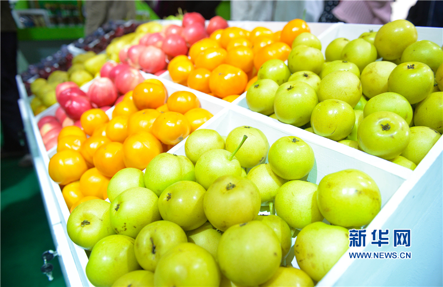 高清 无码 性爱