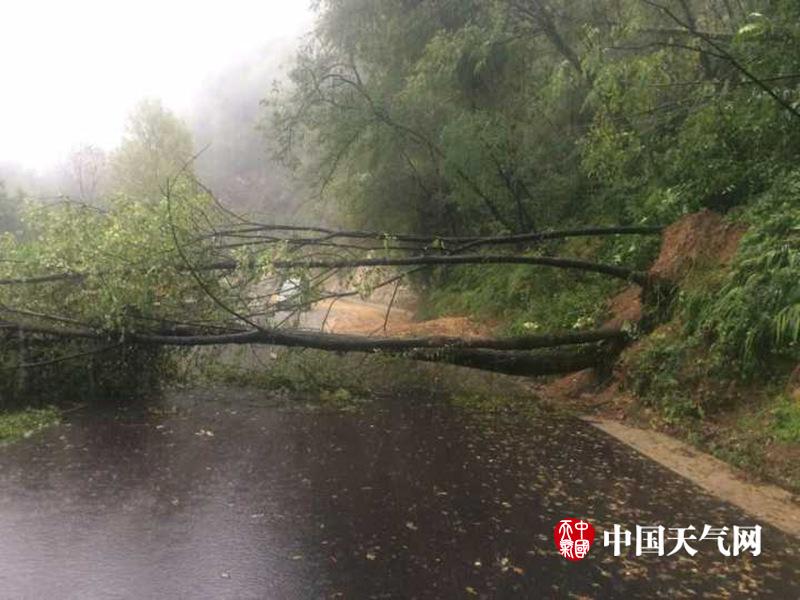 香港三级电影在线播放