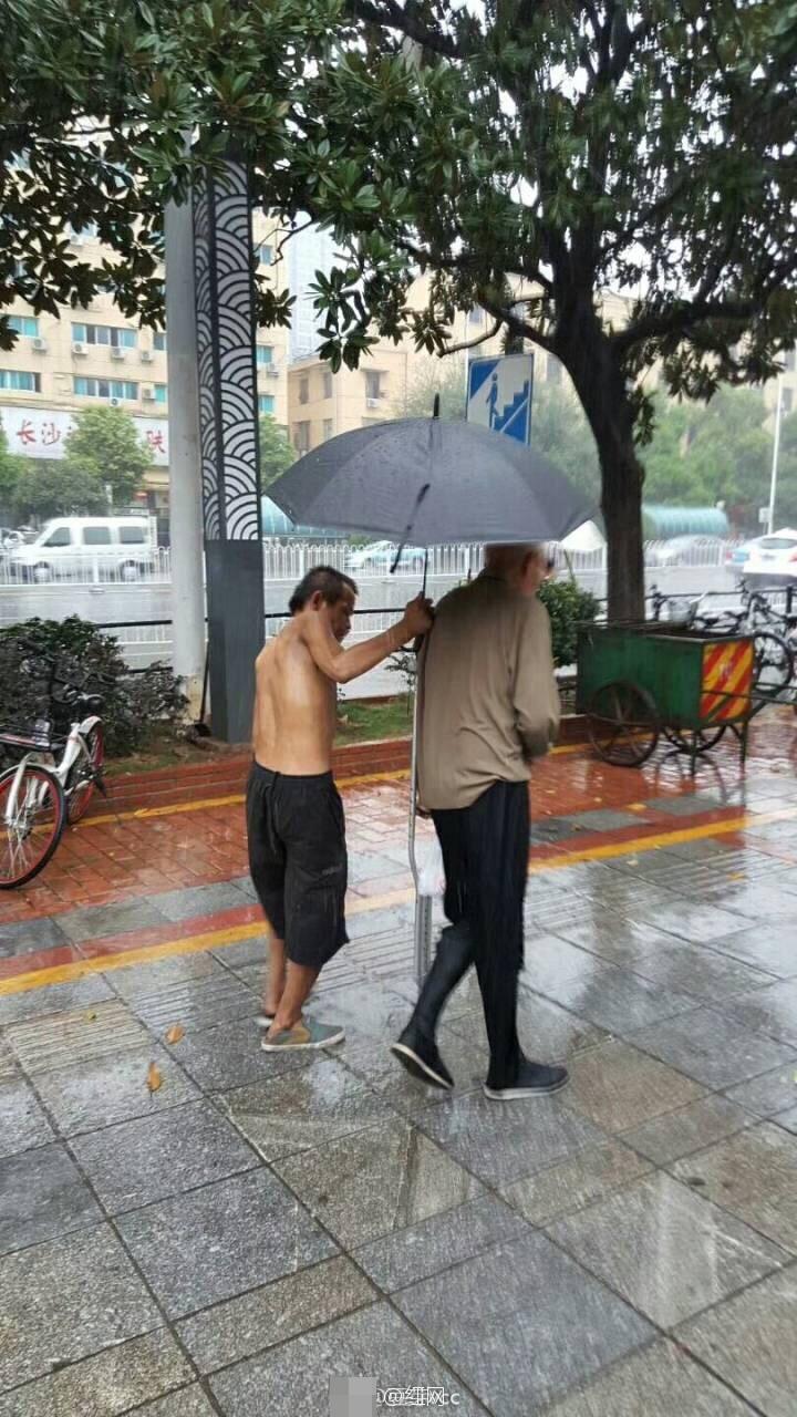 木下若菜