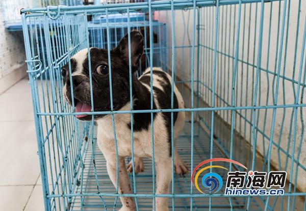 掀开白丝袜jk裙子扒掉内裤