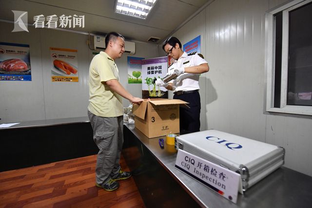 风油精色情片