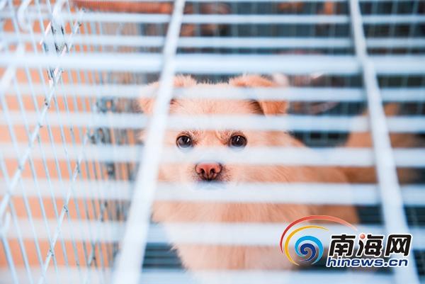 女同桌脱 给我揉