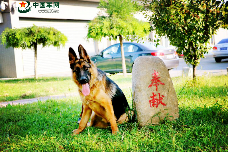 公交车侵犯小男生肉(H)