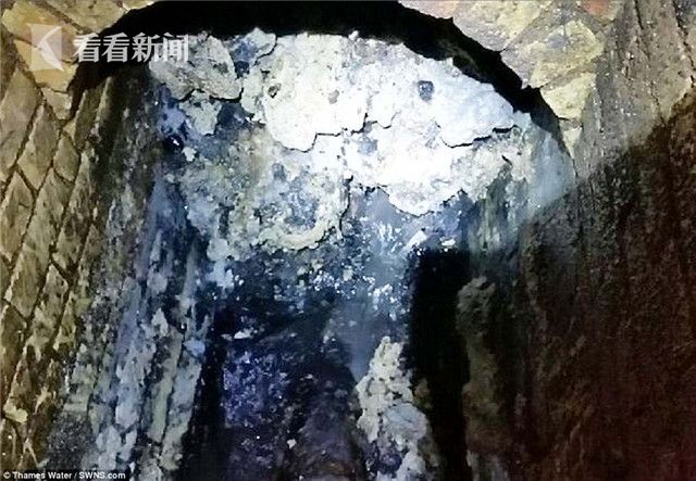 四川一级毛片大黄