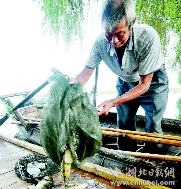 美女裸图免费