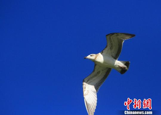 女性隐私秘 免费观看的软件